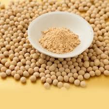 Soybean Powder